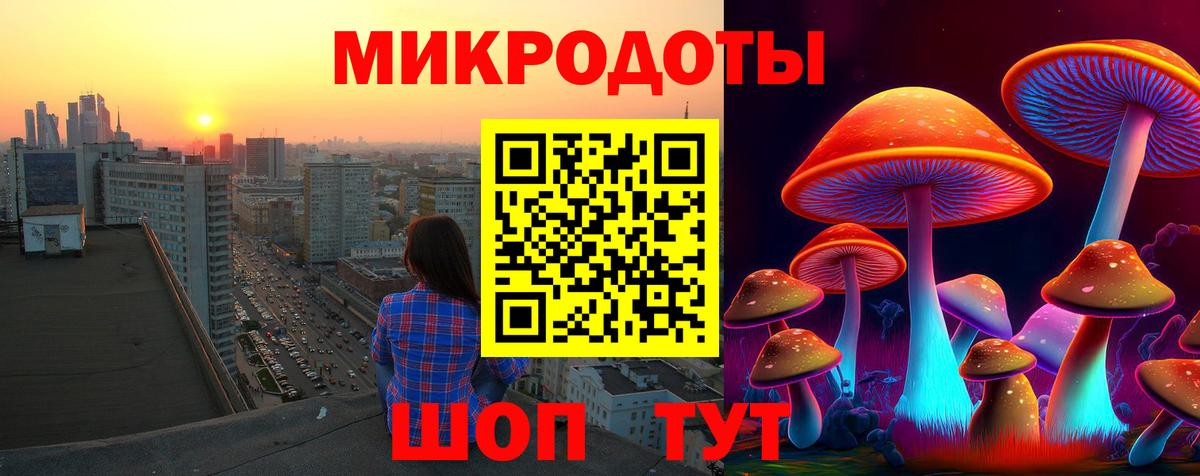 Псилоцибиновые грибы Psilocybe Миллерово